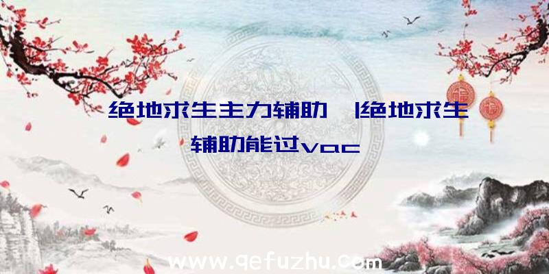 「绝地求生主力辅助」|绝地求生辅助能过vac